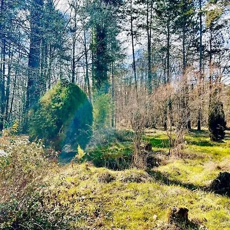 La Maison Des Bois A 10 Minutes De Vezelay Montillot Extérieur photo