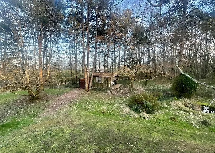 La Maison Des Bois A 10 Minutes De Vezelay